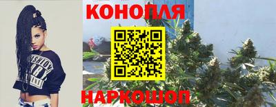 прущие грибы Бузулук