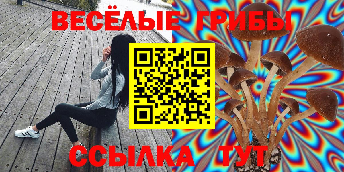 Псилоцибиновые грибы мицелий  Псилоцибиновые грибы Magic Shrooms  Вход с VPN  как найти закладки  Россошь 