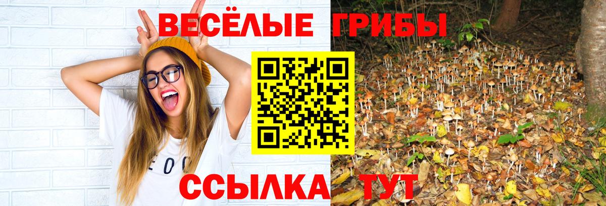 A-PVP СОЛЬ кристаллы  Вход с VPN  Россошь  МЕТАДОН  ГАШ  Бошки Шишки  Cocaine  Меф  Мефедрон  